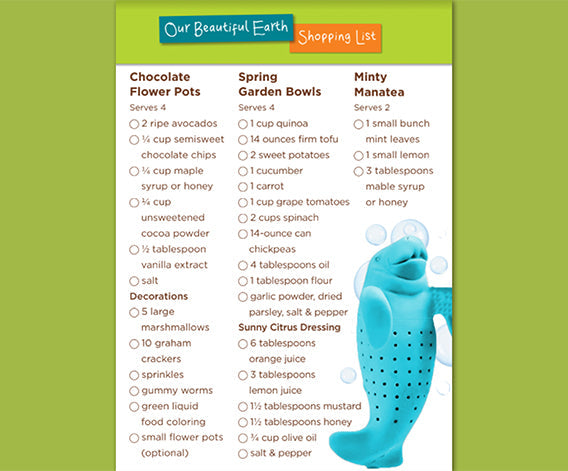 Our Beautiful Earth Shopping List