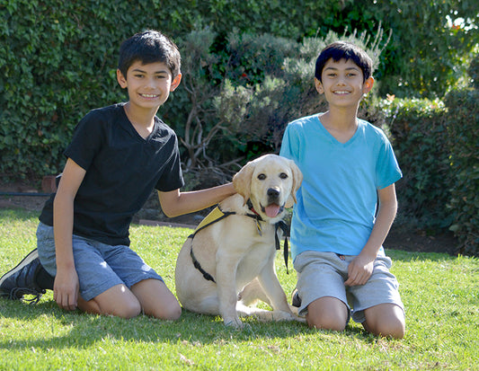 How Pets Teach Kids Responsibility