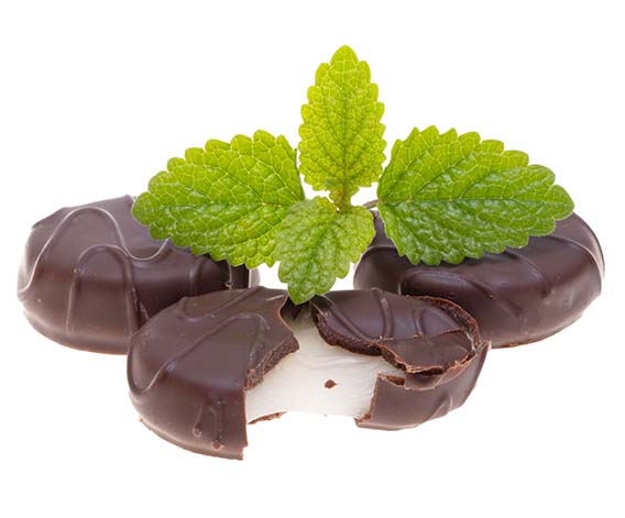 Copycat Junior Mints