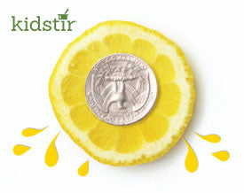 Lemonade Stand Business