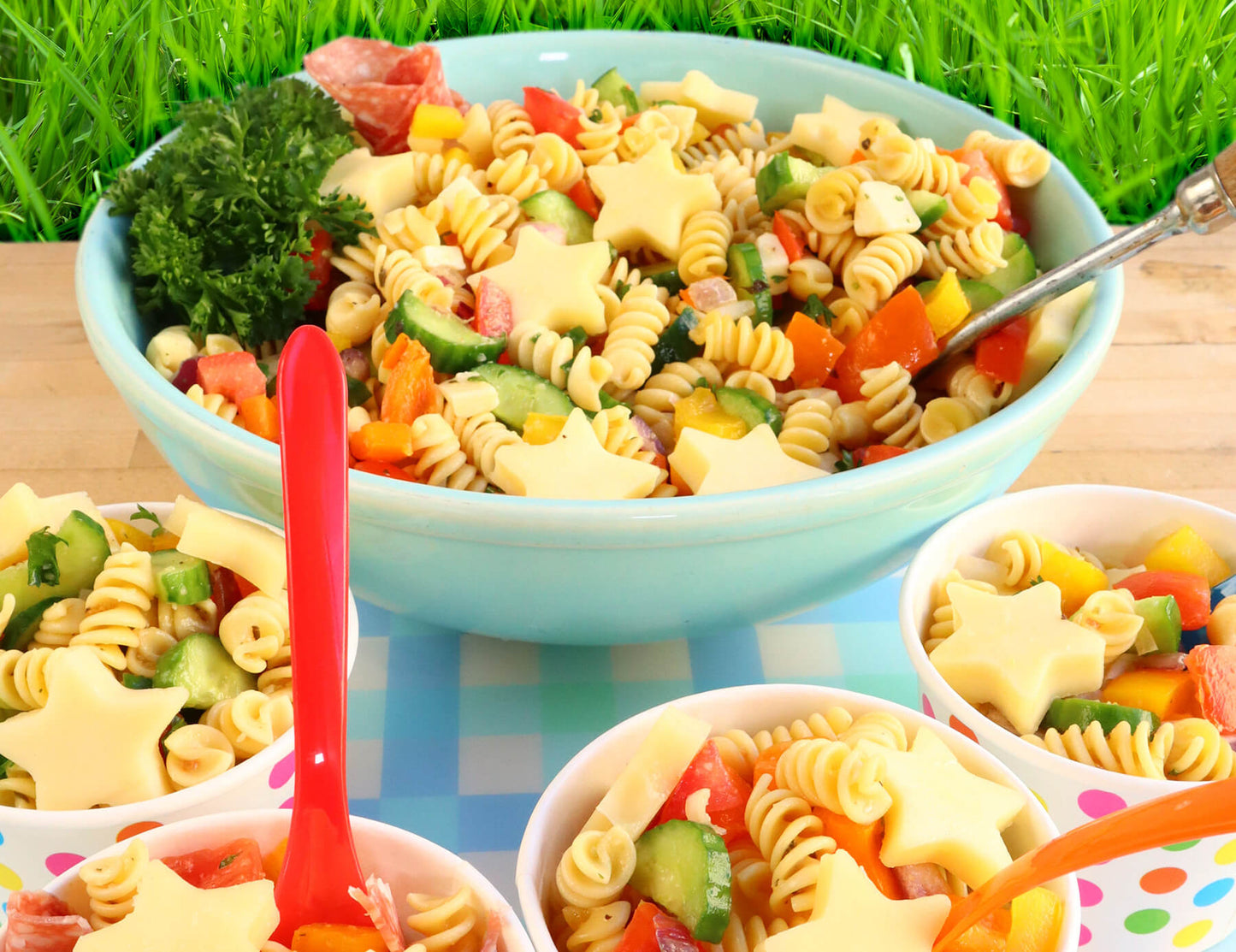 Picnic Under the Stars Cooking Kit