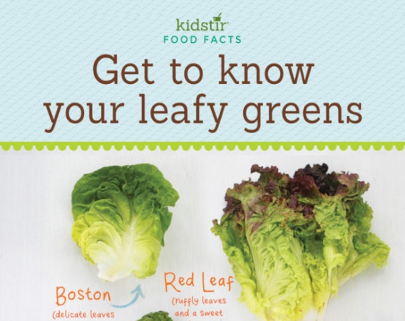 Leafy Greens Veggies Kids